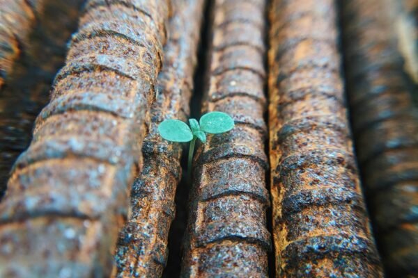 There is a reason that you are what you are. | by The Woven Thought | Jul, 2025 0uNGdC890794MrmB.jpeg