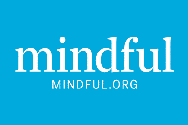 Terms and Conditions – Mindful
