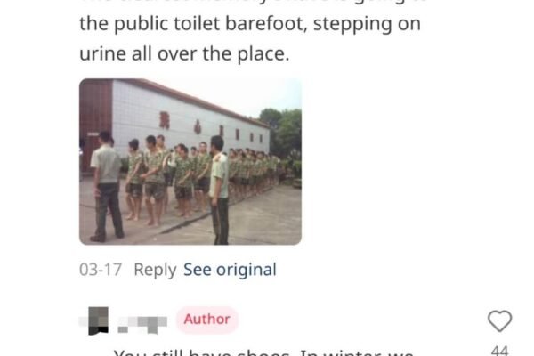 1Cjlv53MkOV rmfWw49u0yg.jpeg