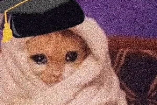 1FucXoeqwFqZyVpH 7Ix1zQ.jpeg