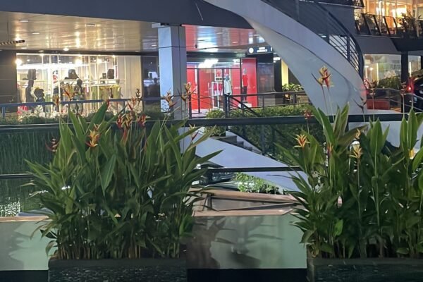 1bC cSv0kXAH9Wwnw6V lQQ.jpeg