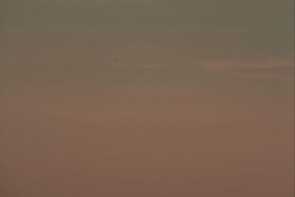 1iJ4PhBT gomzz BF5M3bVg.jpeg