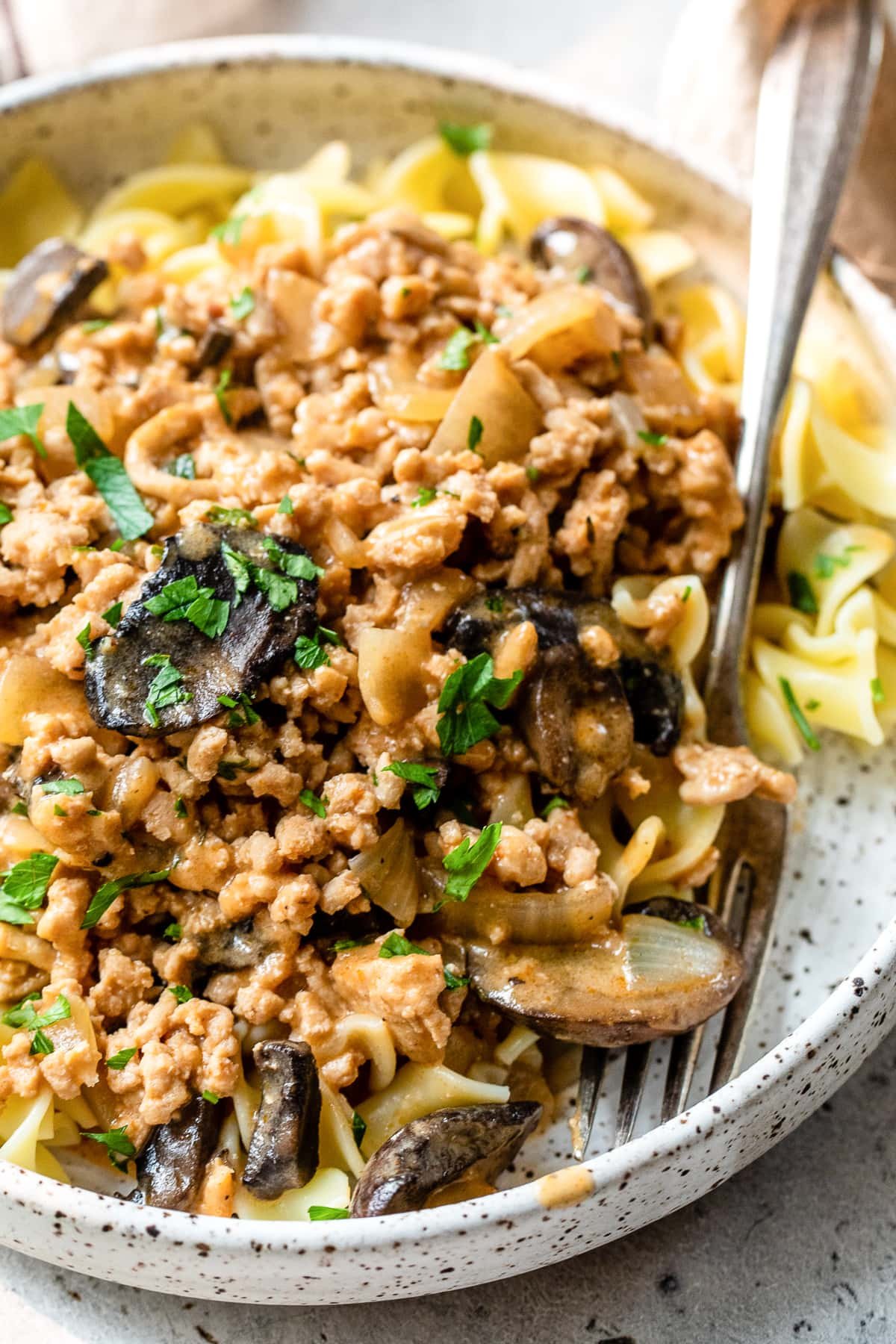 Chicken Stroganoff 9 1.jpg