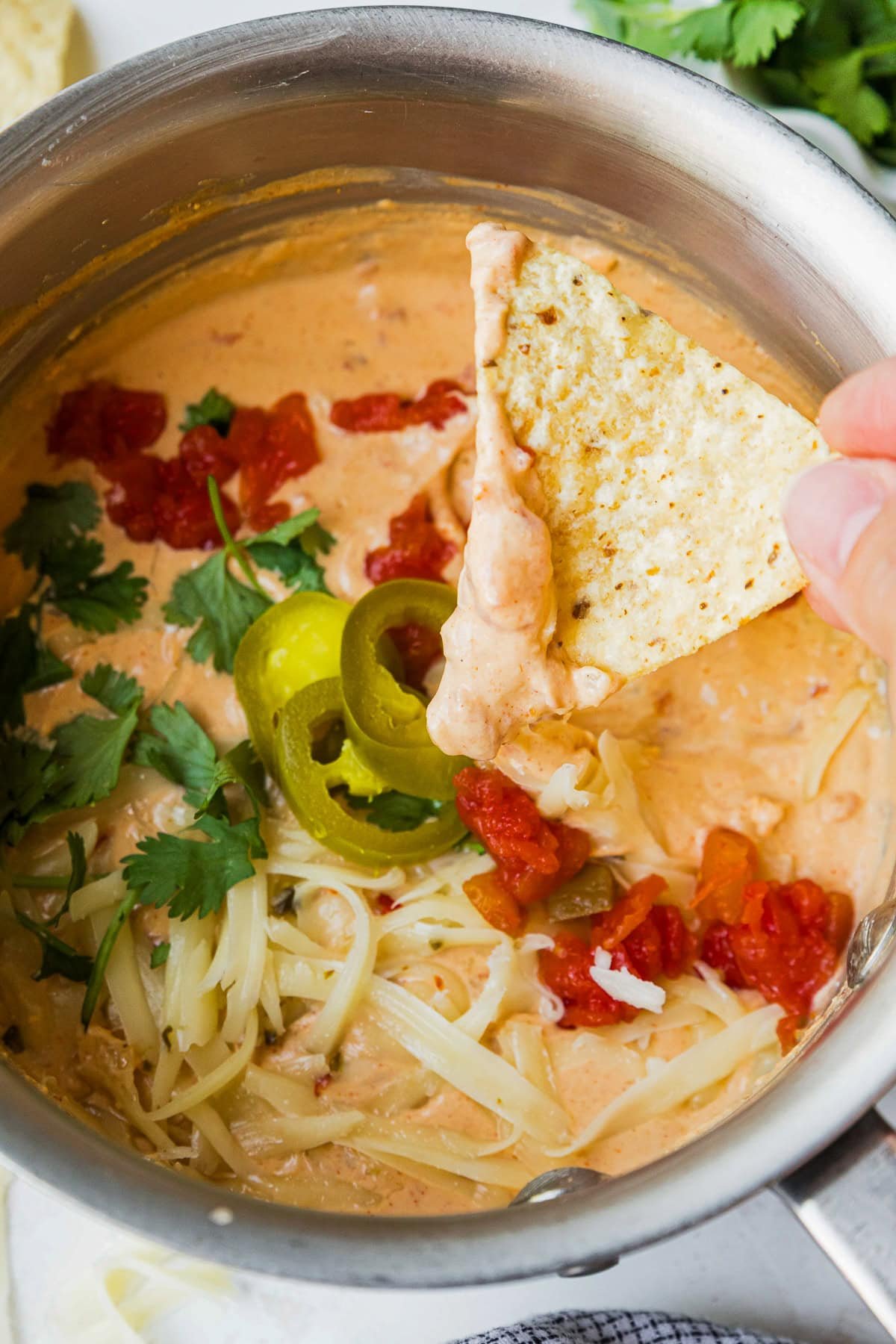 Cottage Cheese Queso Dip 9.jpg