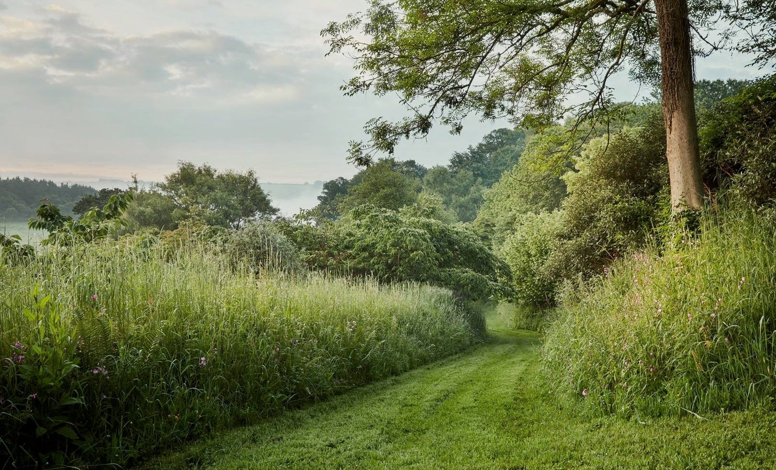 ROSEIVYJournalGardenDreamerAnEnchantingGardeninDevonEngland 1.jpeg