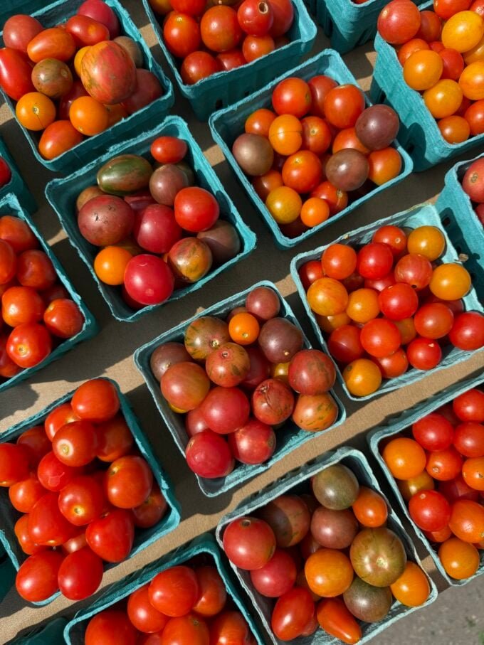 tomatoes 2 680x907.jpeg