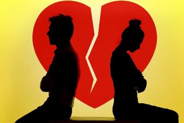 0j43 CO0i FT4Wcat.jpg