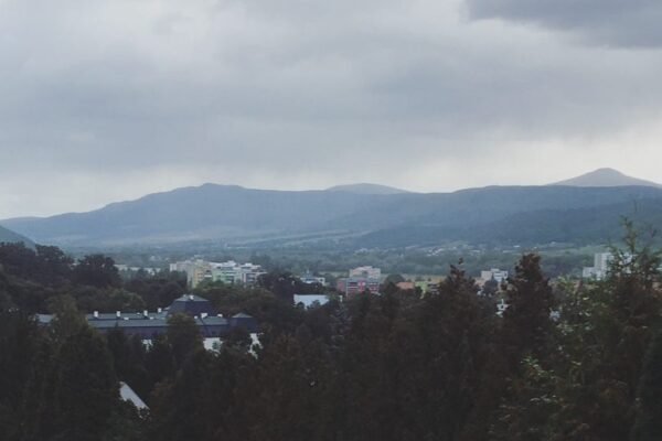 17PURfGq4r5bkk 0D0O6vmQ.jpeg