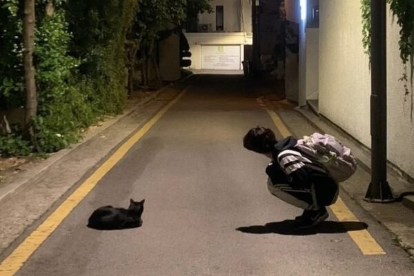 1t H9F DzNdZGzcHImOaCSg.jpeg