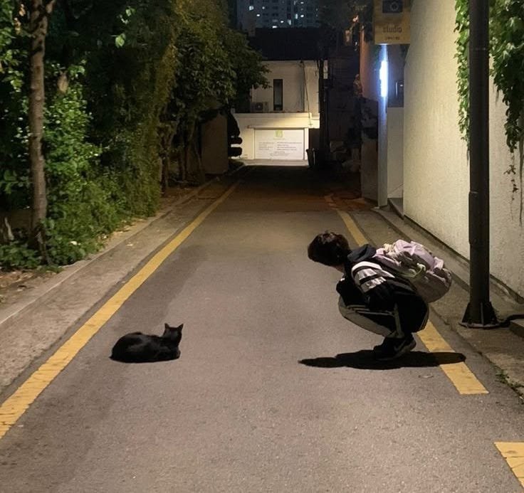 1t H9F DzNdZGzcHImOaCSg.jpeg