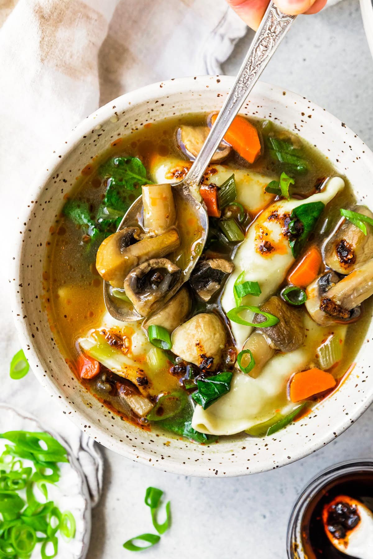 Potsticker Soup 12.jpg