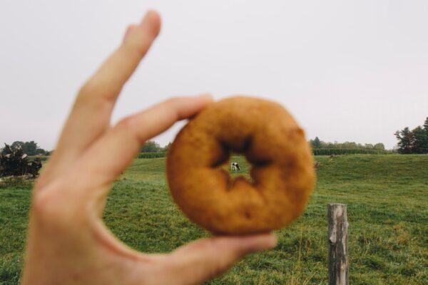 vermont cider donut.jpg