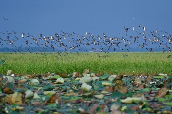 1QCiIlcoOCOWb5e z2HaJWA.jpeg