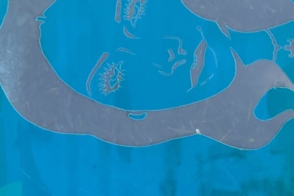 1W6B kPMjWPOx60lMolykhw@2x.jpeg