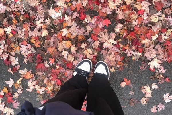 1WDk6kz5Lm19e2lOGBv4 cQ@2x.jpeg