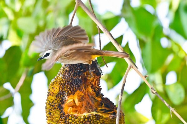 1uGS705ncH Dq4JBvmFUsMw.jpeg