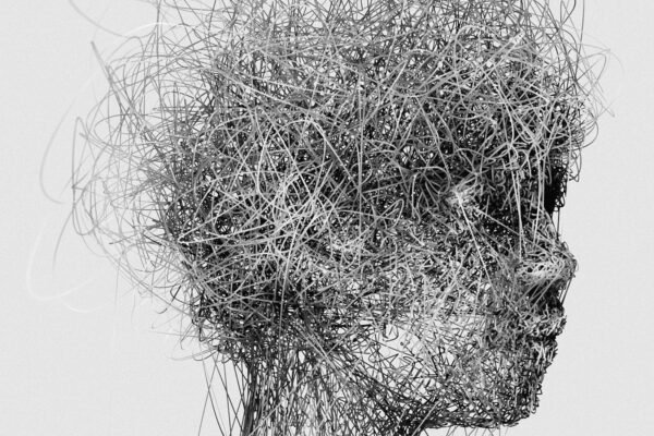 1wzn8eaW30fD E9TMTFXqAQ@2x.jpeg