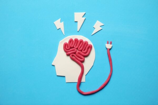 AdobeStock 252827644 scaled.jpeg