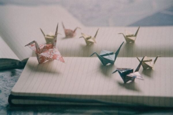 1einKo5D OV9DaPyXXdtNdQ.jpeg