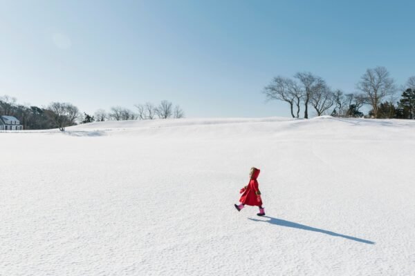 Stocksy txpeff2cd70WYC400 Medium 2443472 1.jpg