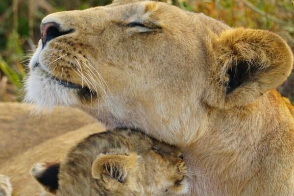 gurth bramall mCkxZVmmP c unsplash 2 scaled.jpg