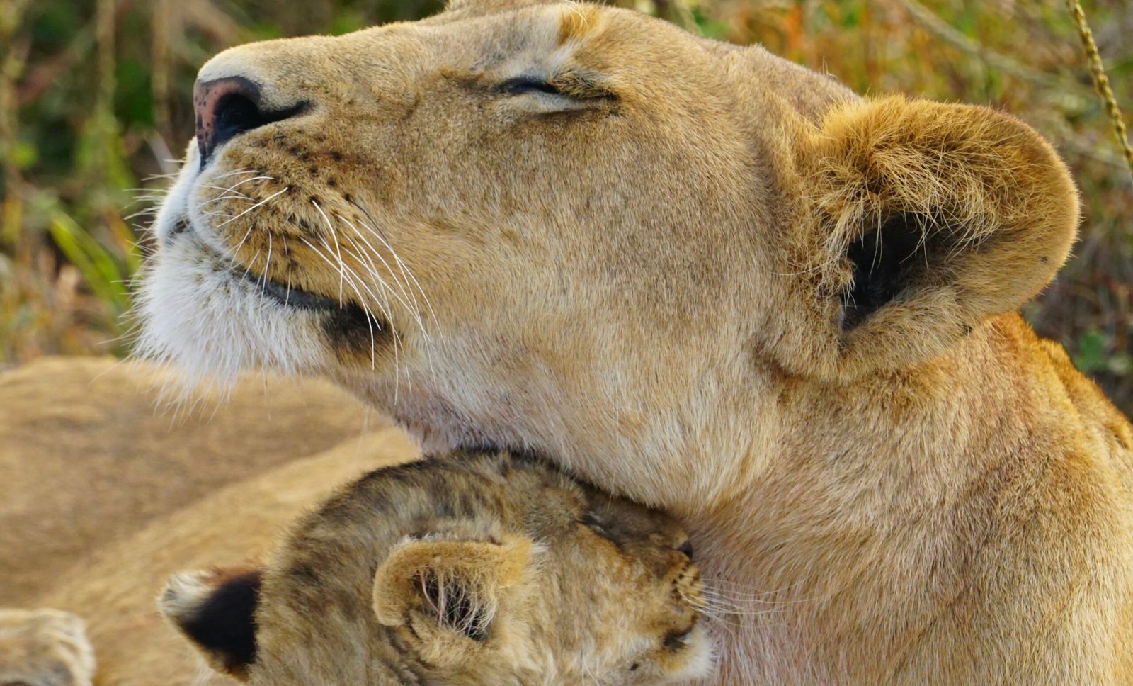 gurth bramall mCkxZVmmP c unsplash 2 scaled.jpg