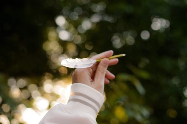 jovan vasiljevic oNtuIQc9VZw unsplash scaled.jpg