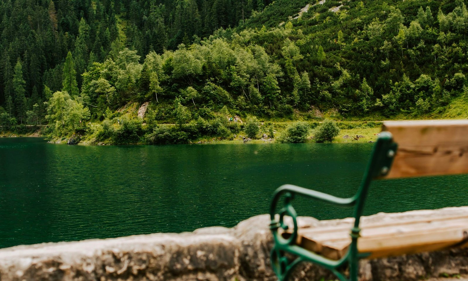 kateryna hliznitsova qXJ6cw7mFFc unsplash 2 scaled.jpg