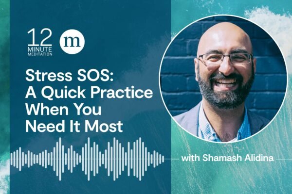 12MM Shamash Alidina Stress SOS A Quick Practice When You Need It Most.jpg