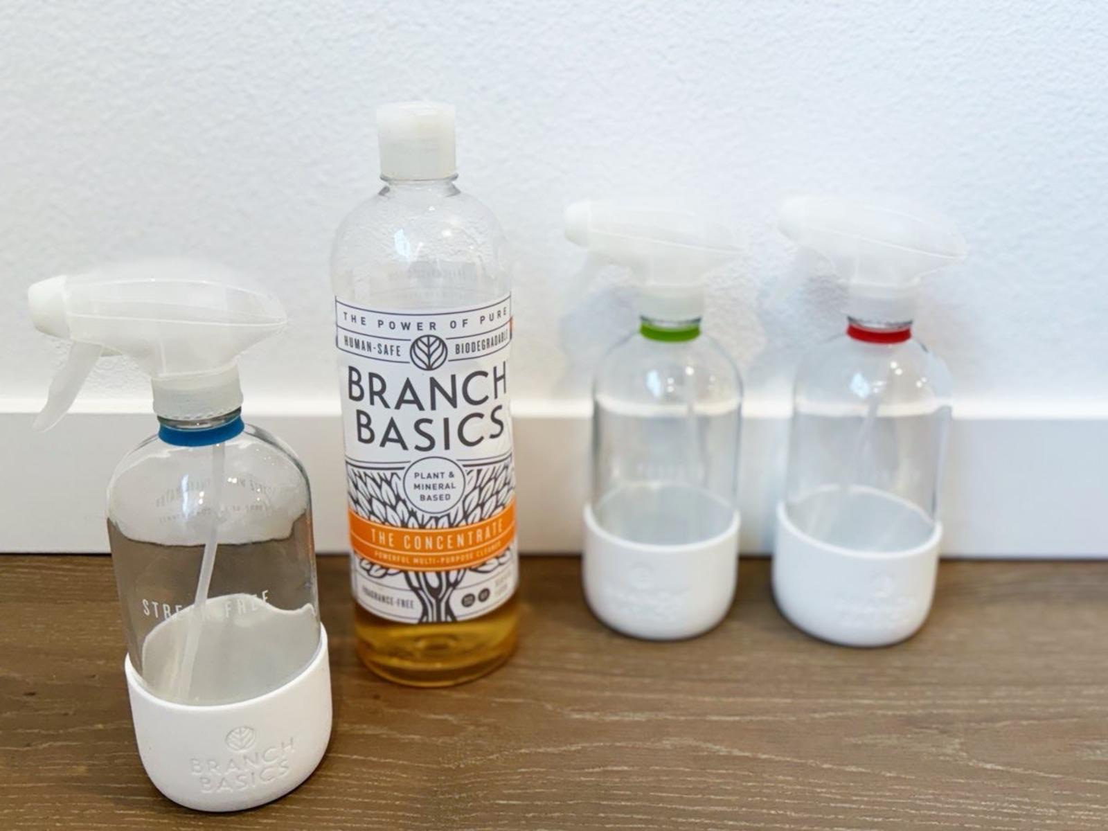 Branch Basics Giveaway.png