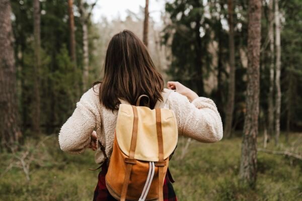 96d5bb8366bfcd12831ec7.82359132 .jpg