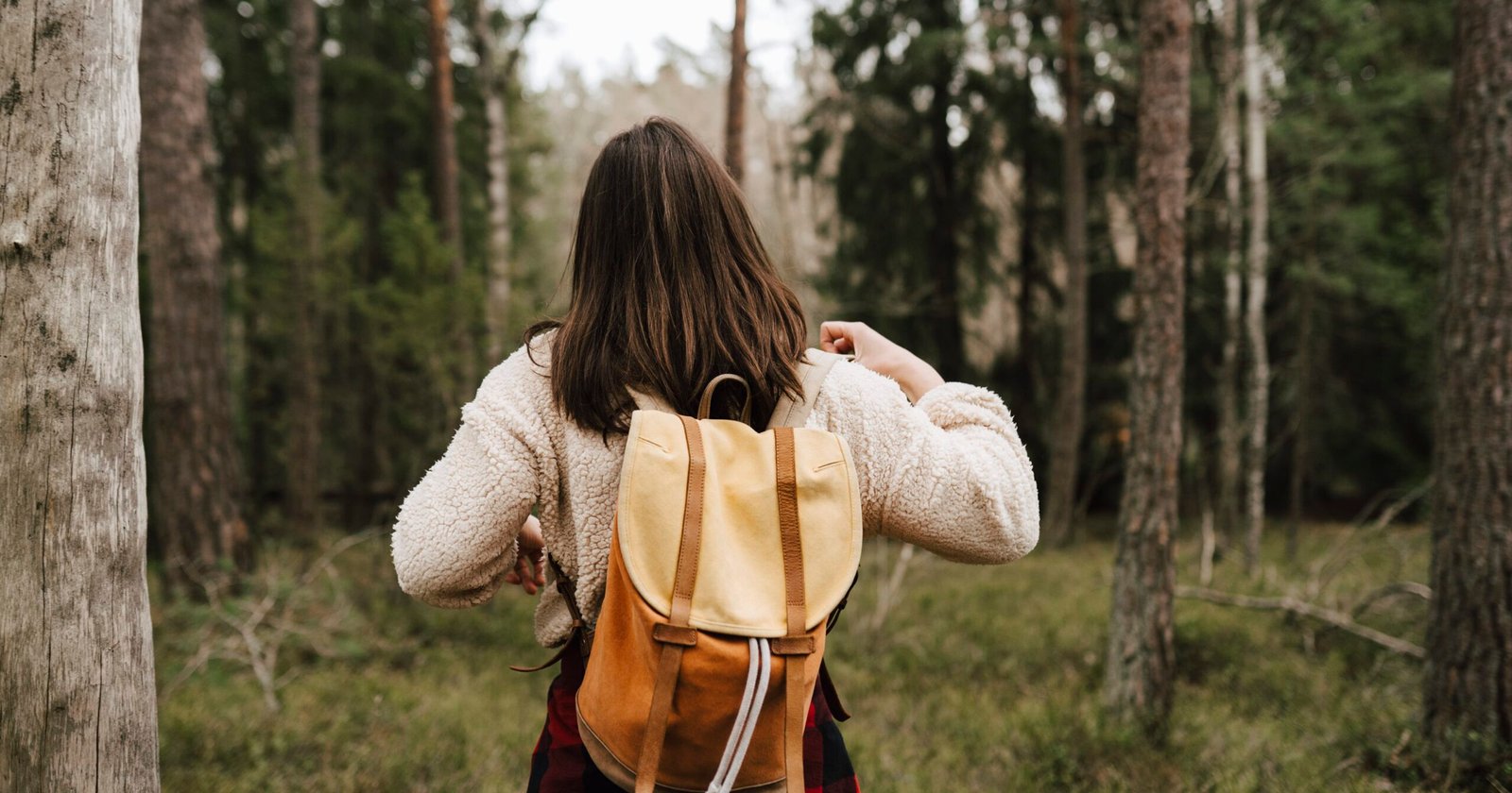 96d5bb8366bfcd12831ec7.82359132 .jpg