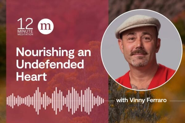 12MM Vinny Ferraro Nourishing an Undefended Heart.jpeg
