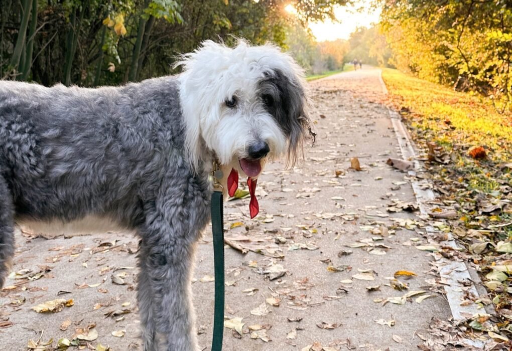 Erica Dallas 1 scaled.jpg