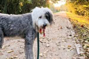 Erica Dallas 1 scaled.jpg