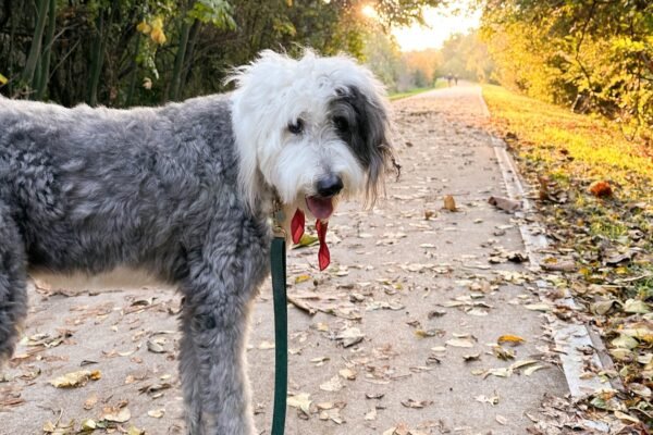 Erica Dallas 1 scaled.jpg