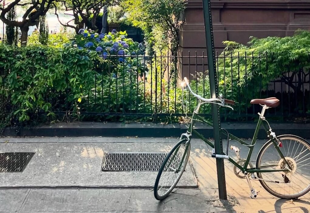 Screenshot 2026 03 10 at 4.57.15 PM.jpeg