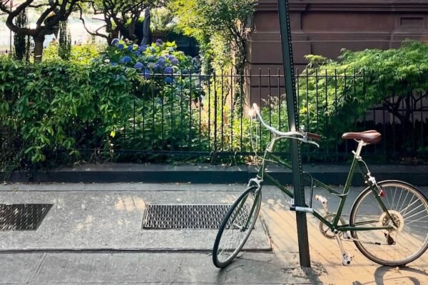 Screenshot 2026 03 10 at 4.57.15 PM.jpeg