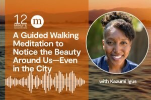 12MM Kazumi Igus A Guided Walking Meditation to Notice the Beauty Around Us—Even in the City 1.jpg