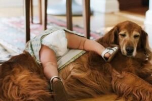 baby dog e1775136947959.jpg