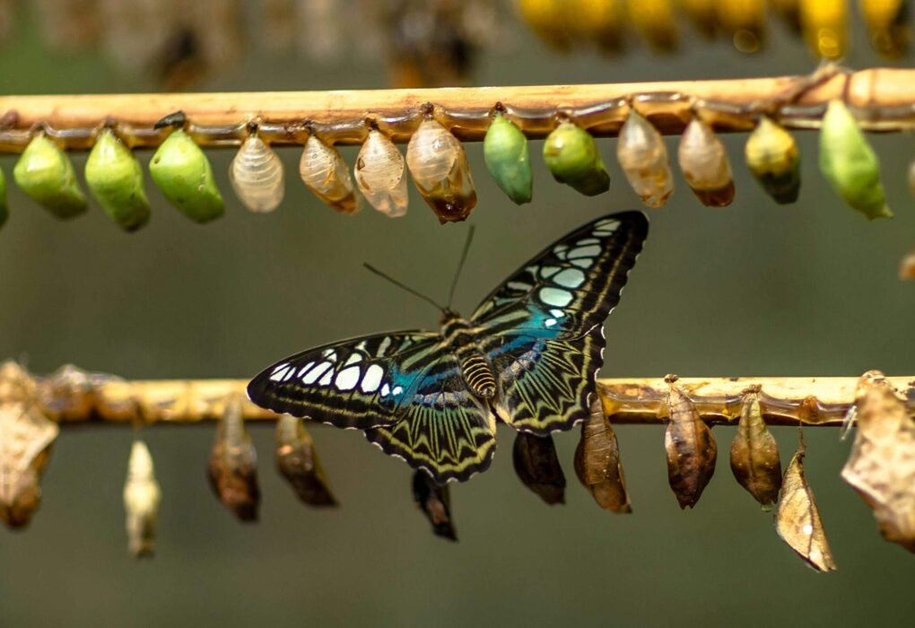 hakon grimstad hteXWSF9jA4 unsplash scaled.jpg