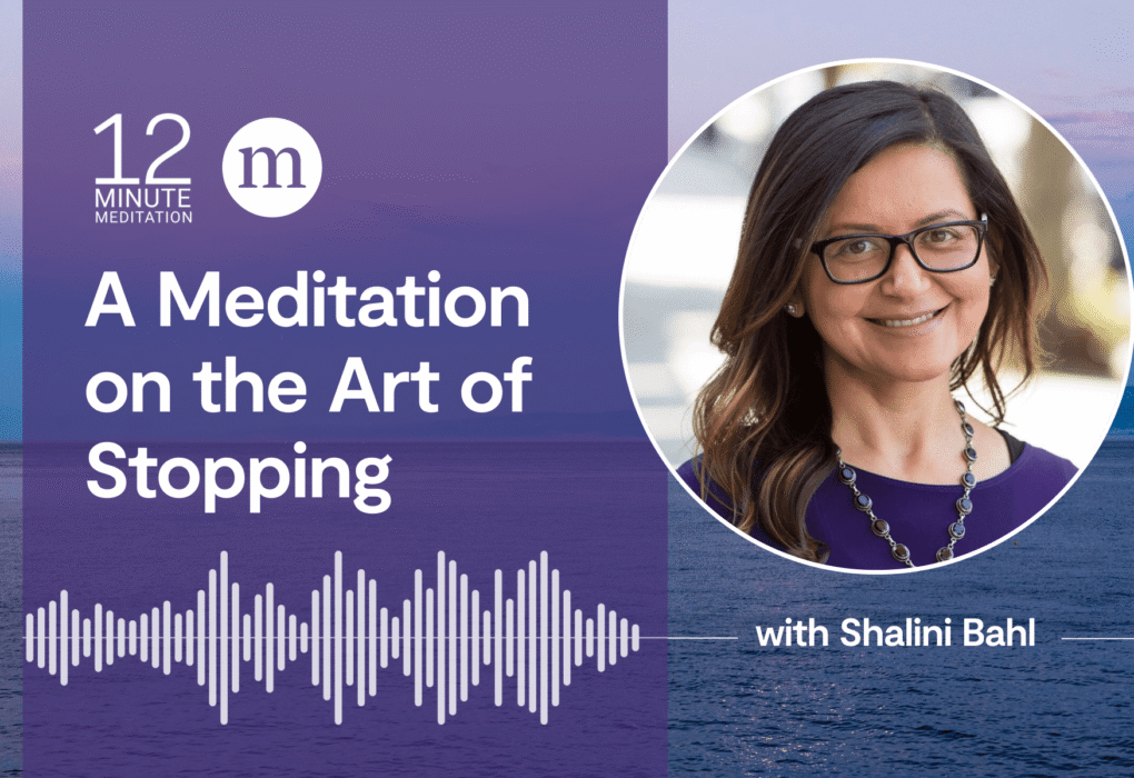 12MM Shalini Bahl A Meditation on the Art of Stopping.png