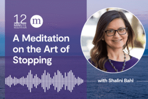 12MM Shalini Bahl A Meditation on the Art of Stopping.png