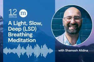 12MM Shamash Alidina A Light Slow Deep LSD Breathing Meditation.jpg