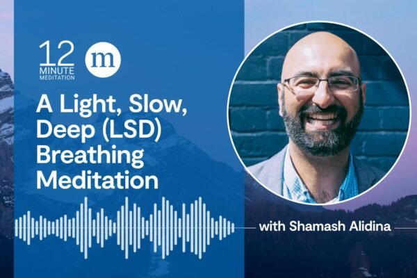 12MM Shamash Alidina A Light Slow Deep LSD Breathing Meditation.jpg
